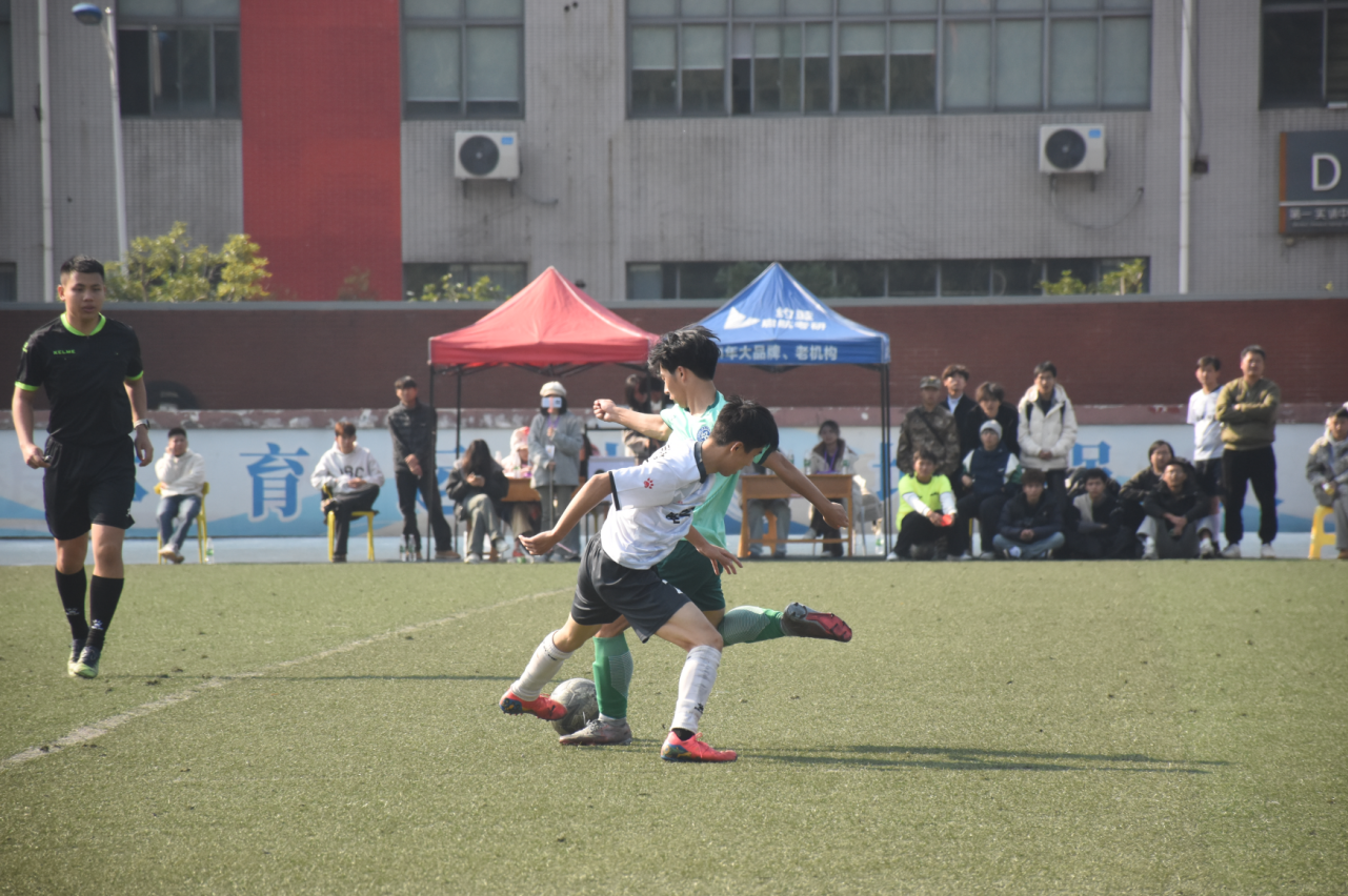 屏幕截图 2025-11-24 155954