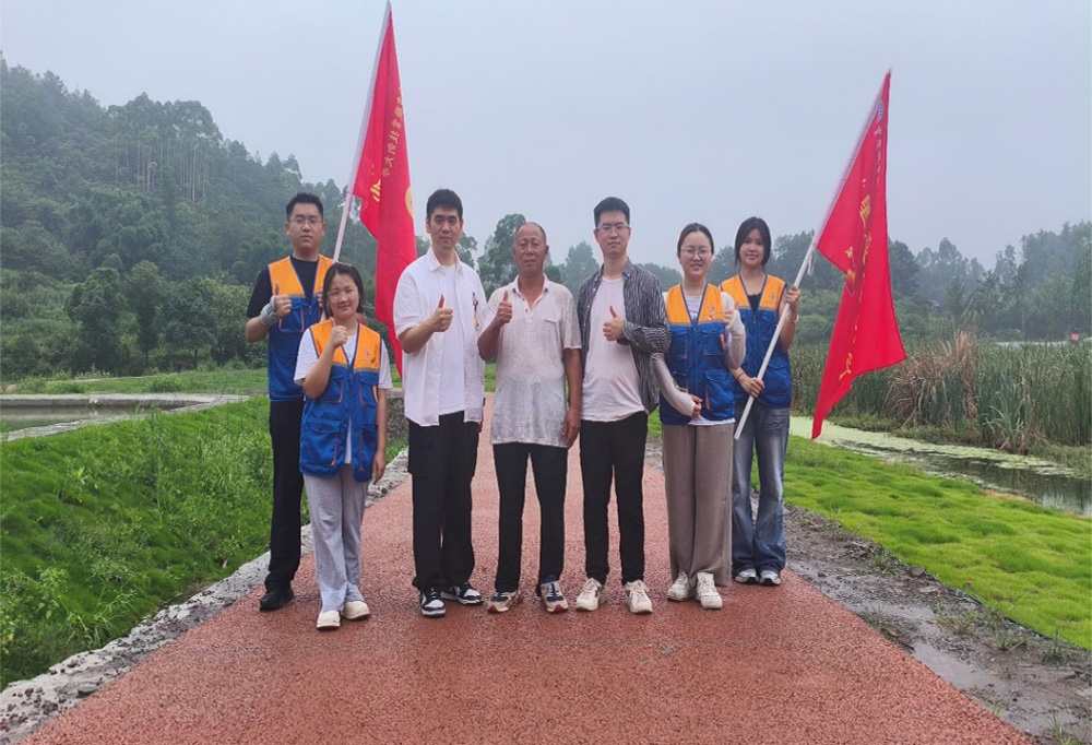 图片5