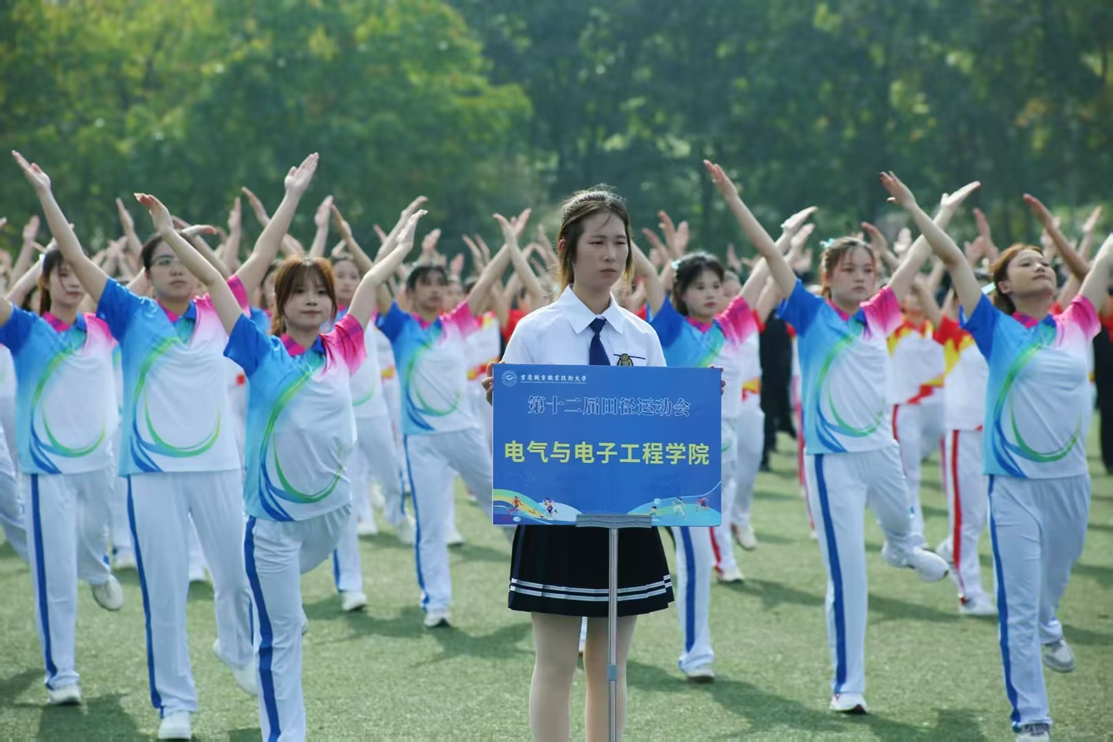 图片7 图片7