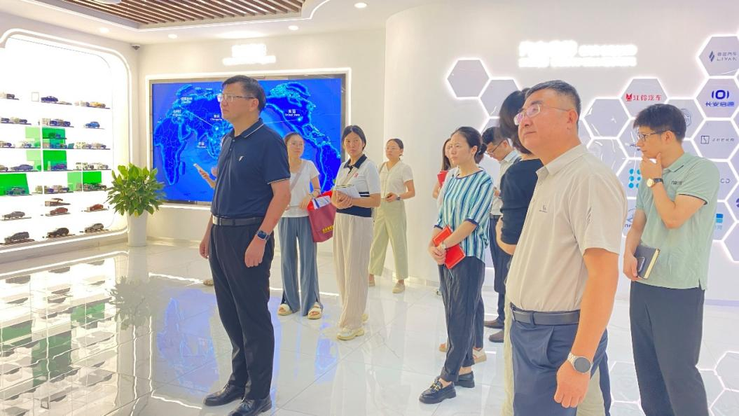 图片3