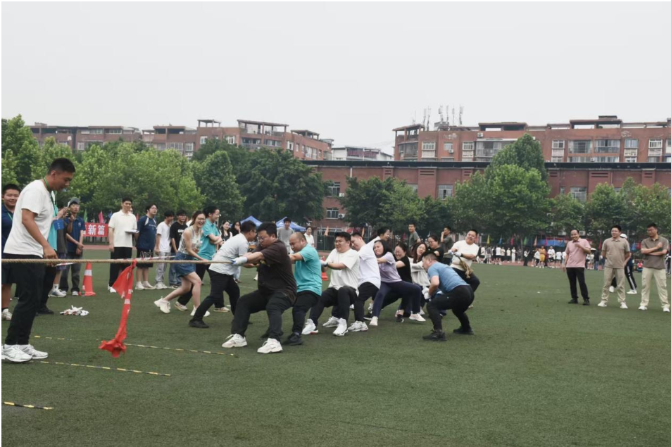 屏幕截图 2025-06-11 150826